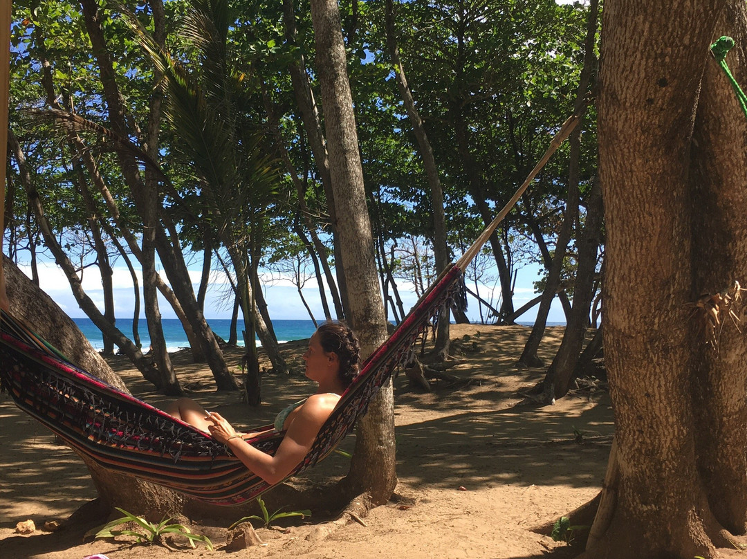 321 Takeoff School of Riding Waves-喀巴里特必去景点