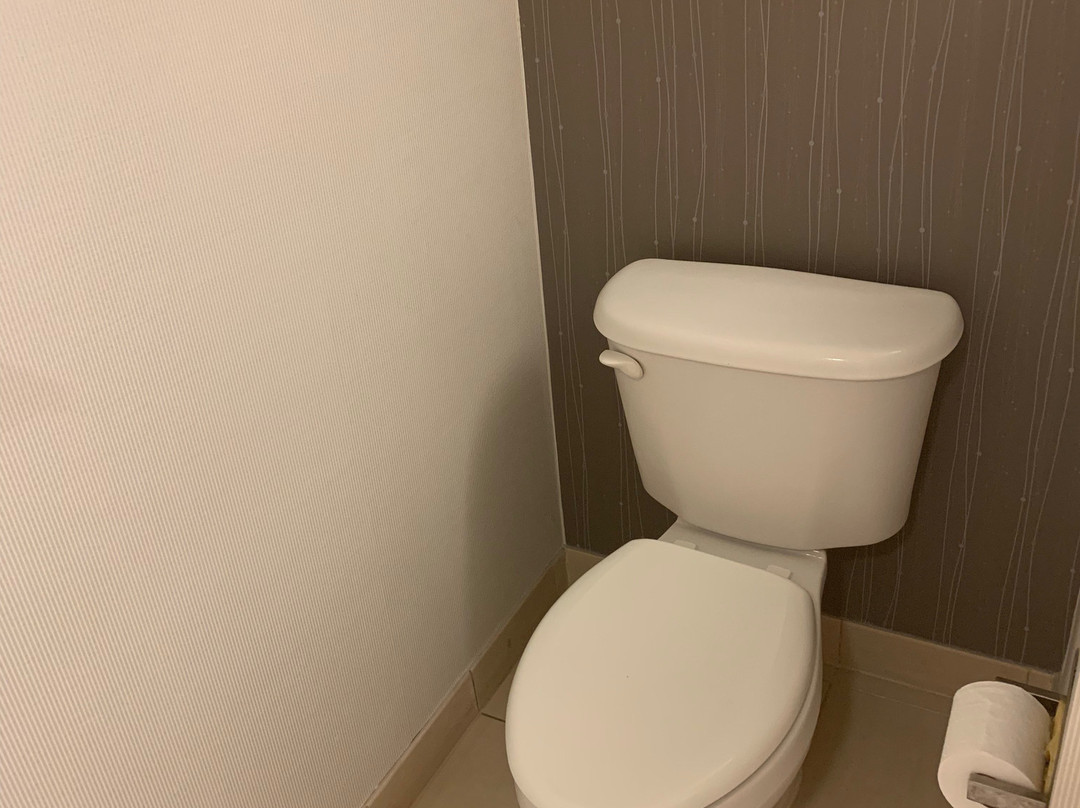 Courtyard by Marriott Stamford Downtown主图