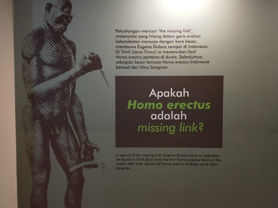 桑义兰早期人类遗址-Sragen必去景点