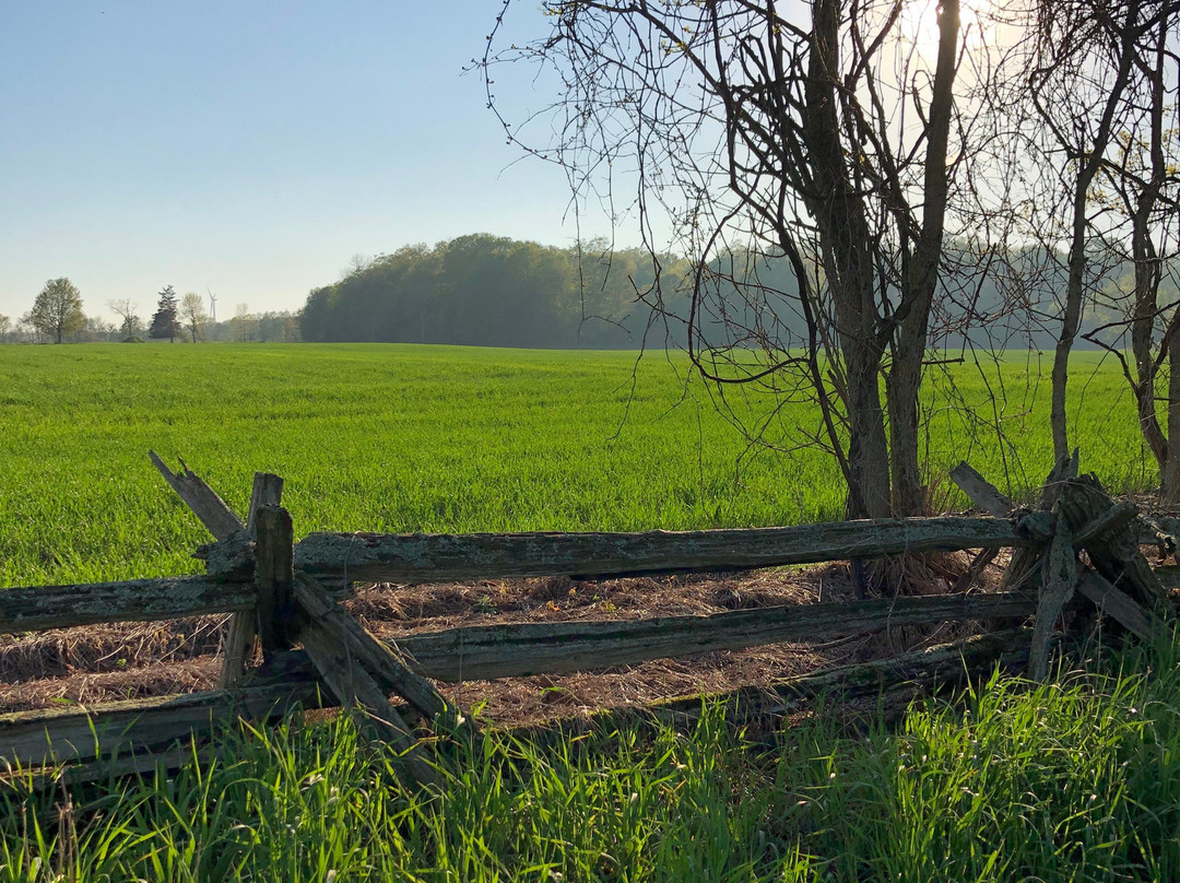 The Wilfrid Boutique Farmhouse主图