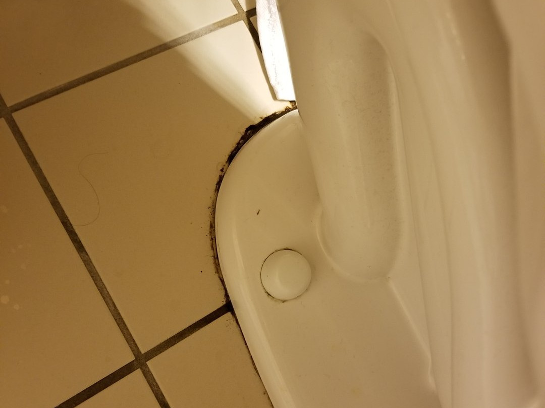 Wingate by Wyndham Green Bay Airport主图