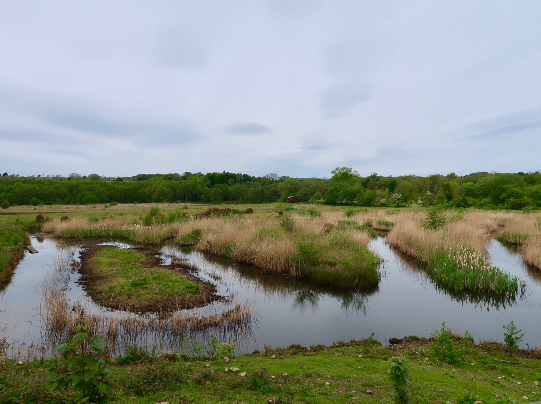 Low Barns Nature Reserve & Visitor Centre-Bishop Auckland必去景点