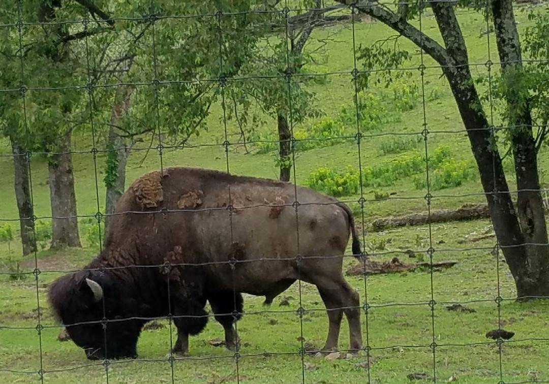 Trexler Nature Preserve-Schnecksville必去景点