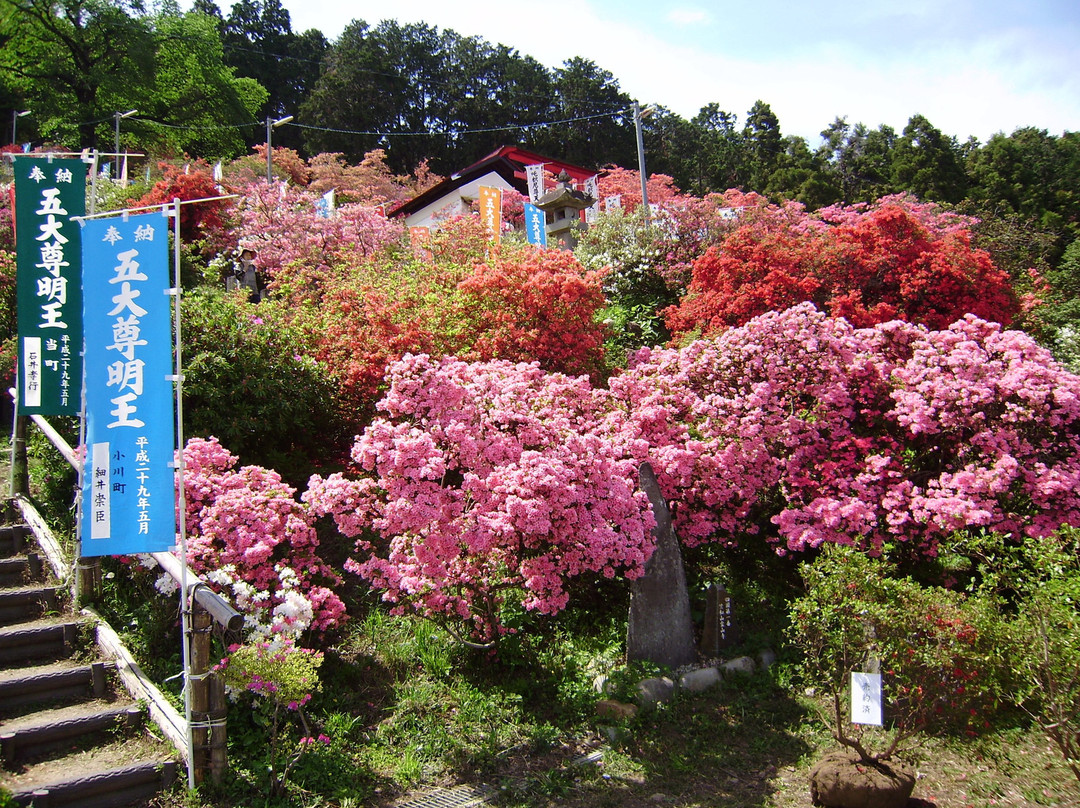 Godaison Azalea Park景点图片