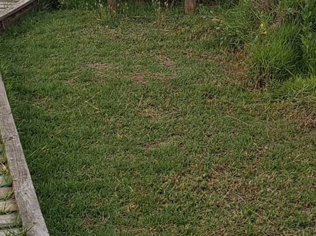 Sea Rim State Park-Port Arthur必去景点