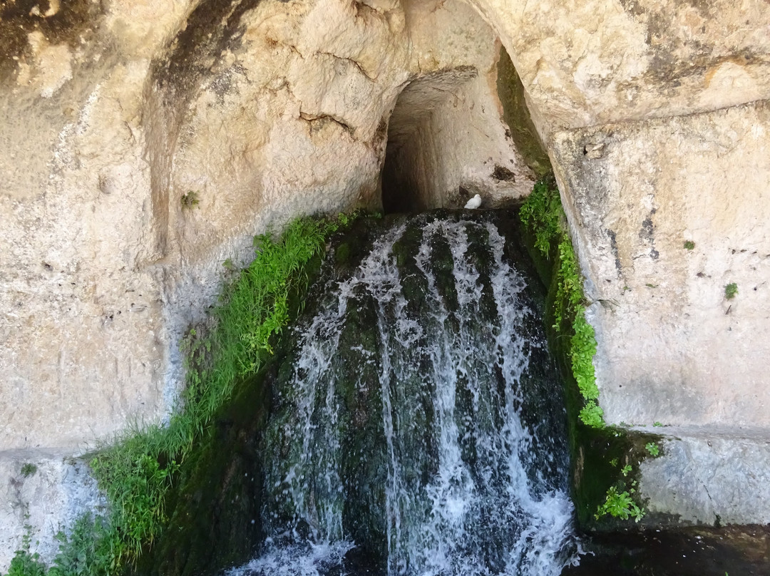 Parco Archeologico della Neapolis-锡拉库扎必去景点