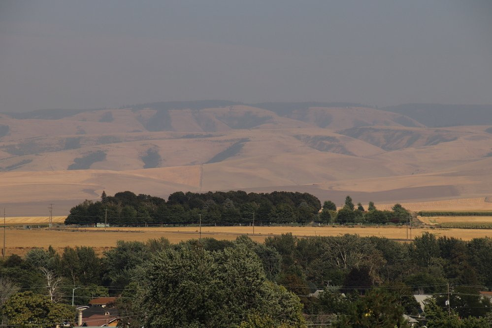 Yantis Park-Milton Freewater必去景点