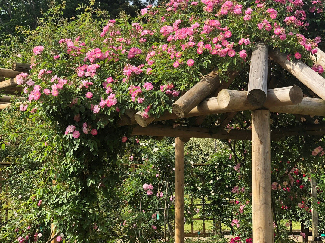 Sakura Kusabue no Oka-佐仓市必去景点