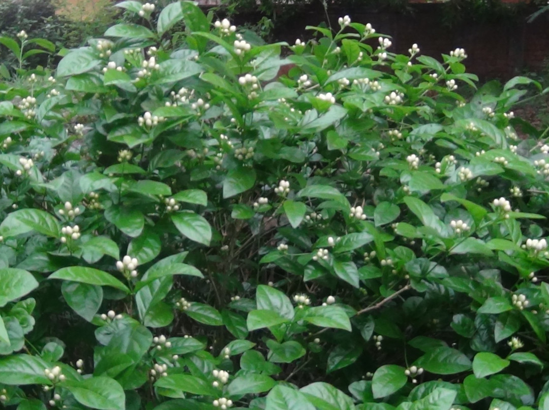 Puthiyakovilakam Heritage Homestay主图