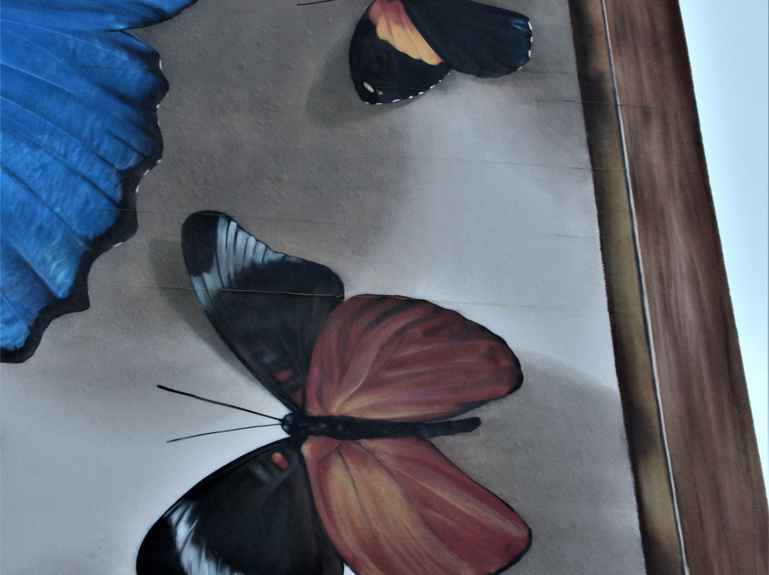 Fresque "Collection de papillons"-蒂永维尔必去景点