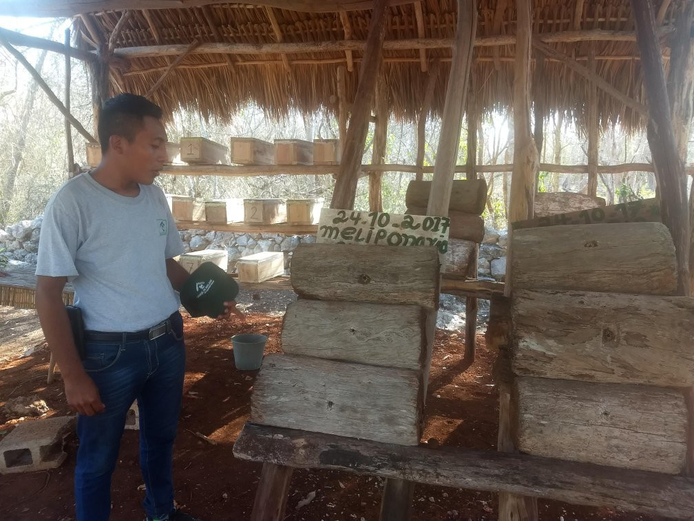 Cabanas Uh Najil Ek Balam主图