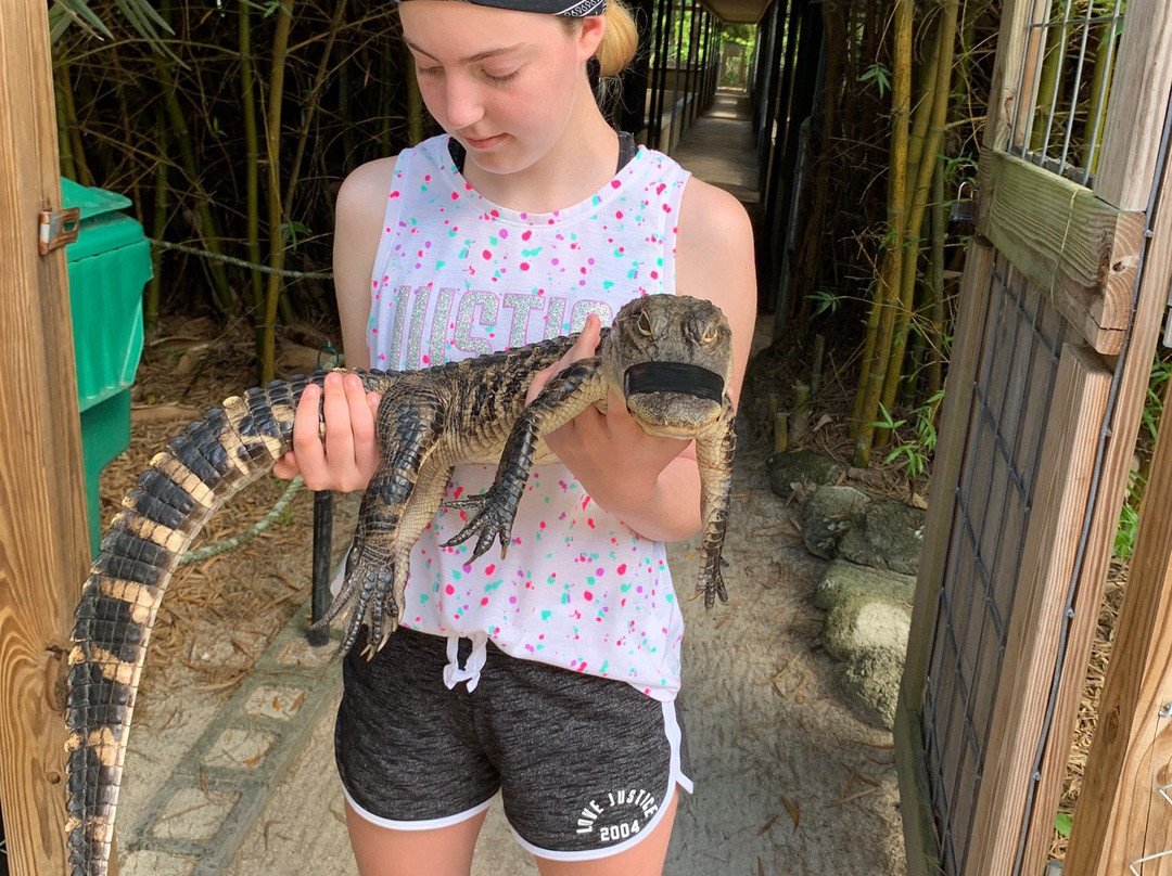 Smooth Waters Wildlife Park-De Leon Springs必去景点