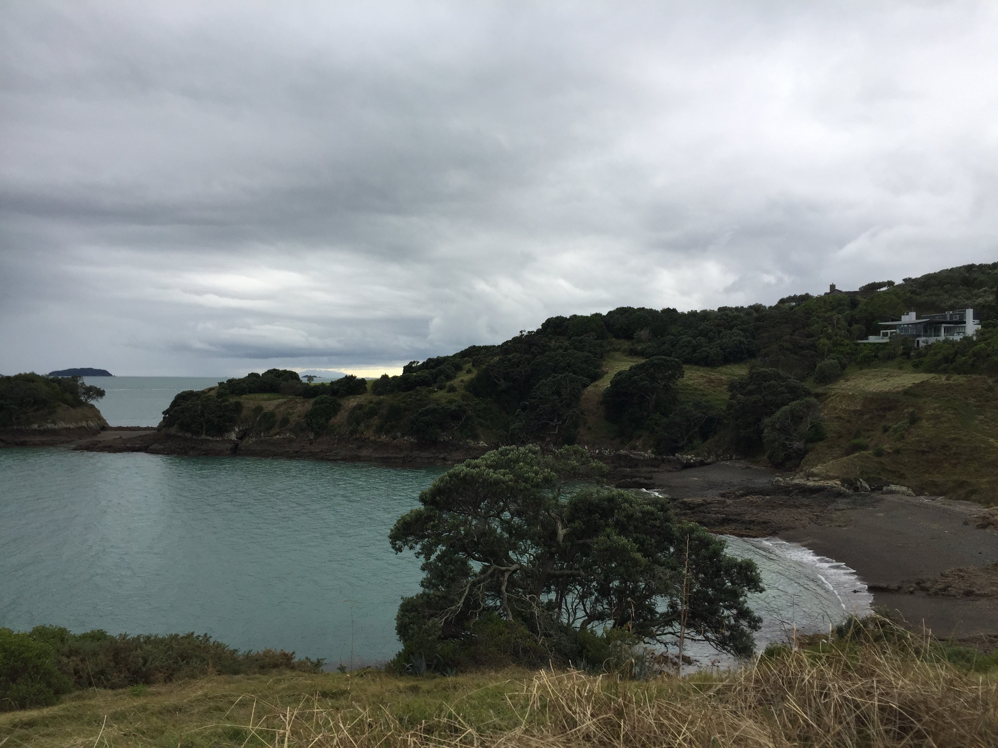 Matiatia Bay-官方