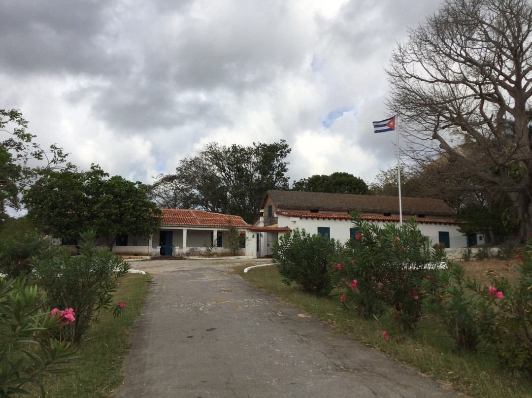 Museo Finca el Abra景点图片