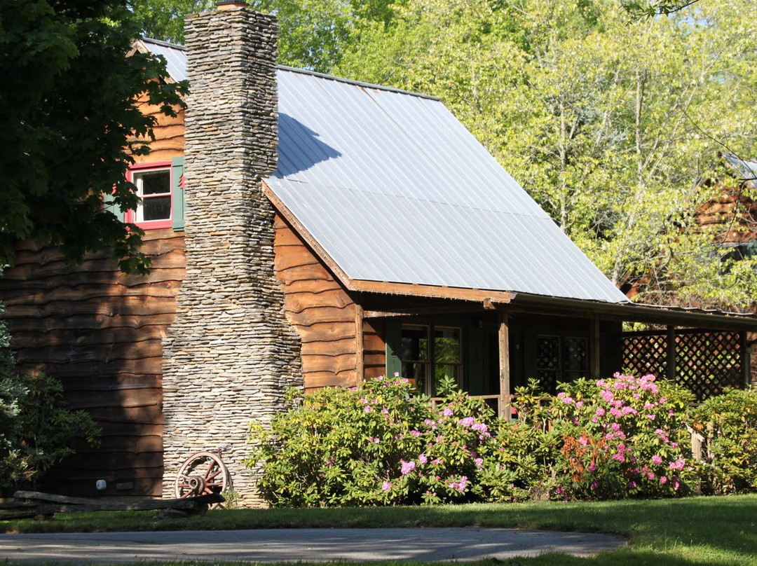 Mountain Springs Cabins