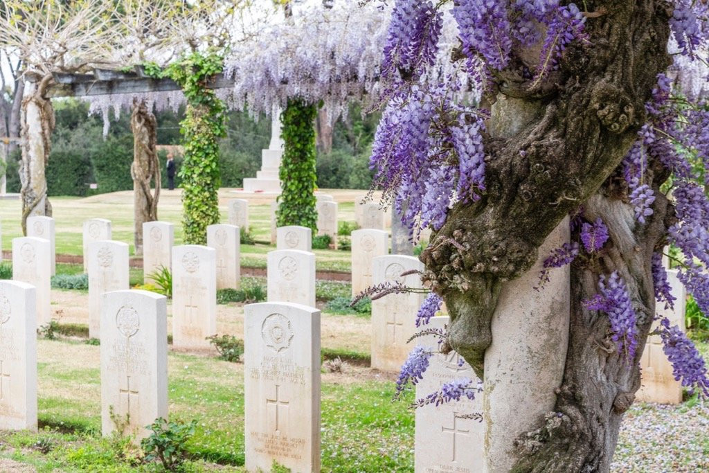 Beach Head War Cemetery-安济奥必去景点