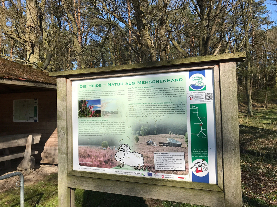 Klein Büenstorfer Heide-巴特贝文森必去景点