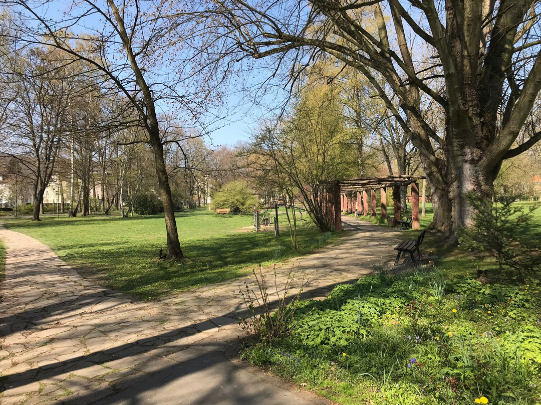 Schloss Park景点图片