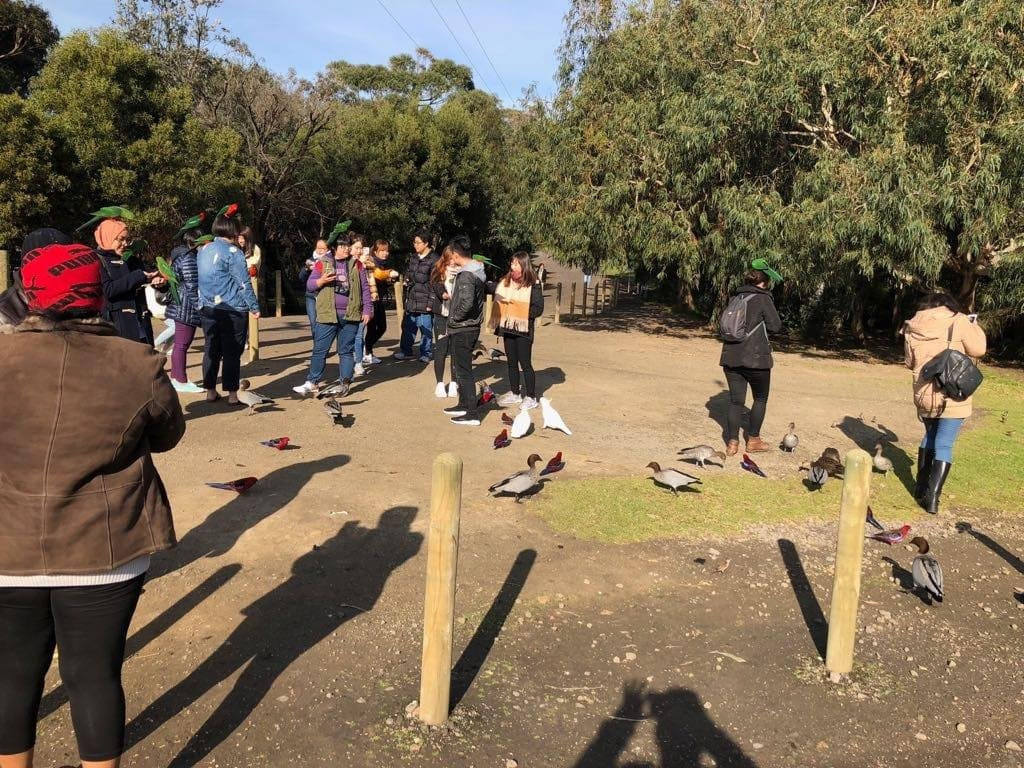 Melbourne Daily Tours-墨尔本必去景点