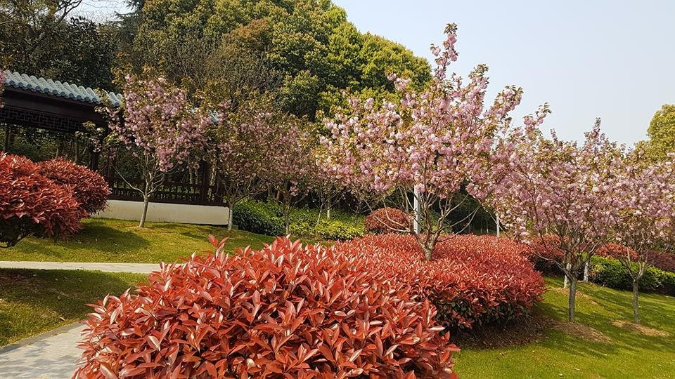 神山公园-芜湖必去景点
