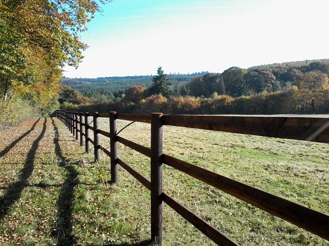 玻璃器皿的加斯特酒店主图