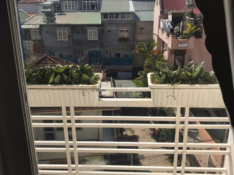 大叻喜马拉雅凤凰酒店主图