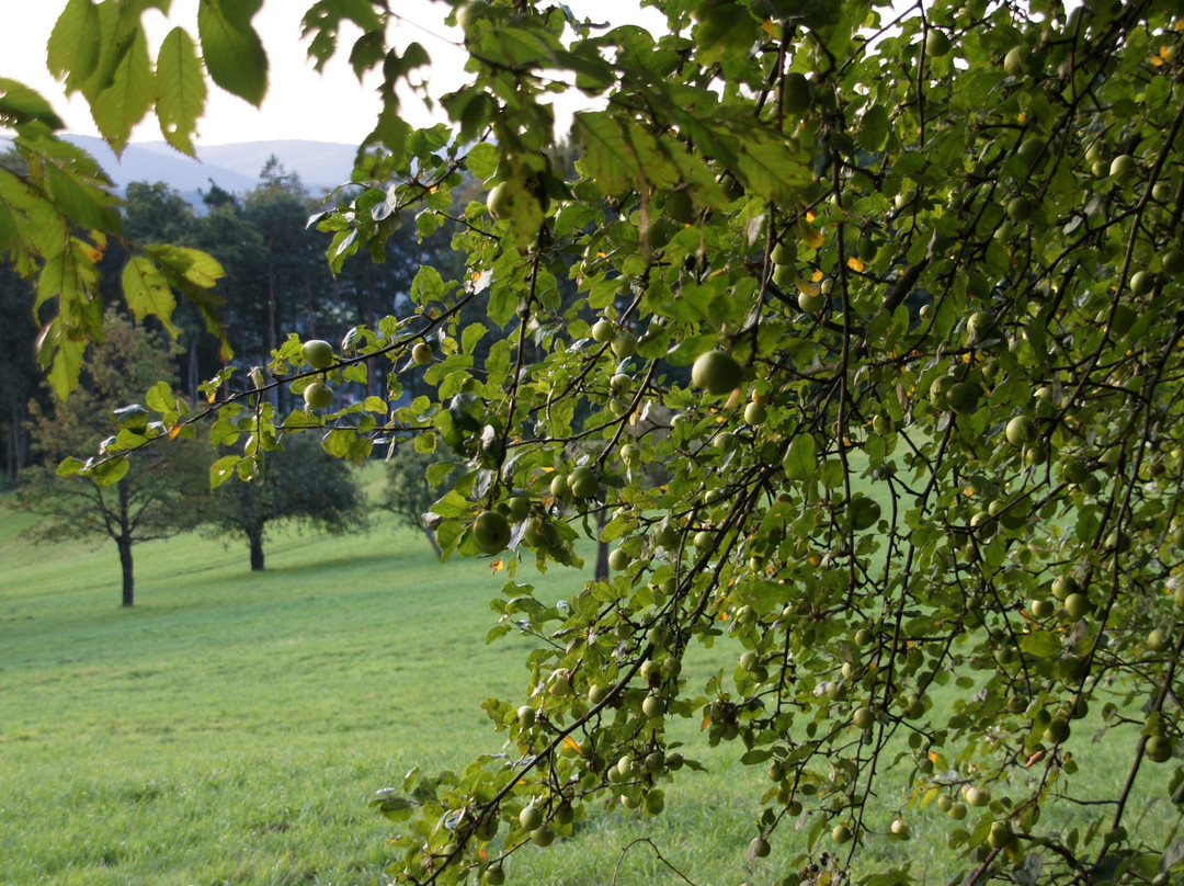 Biosphärenpark Wienerwald-Tullnerbach必去景点