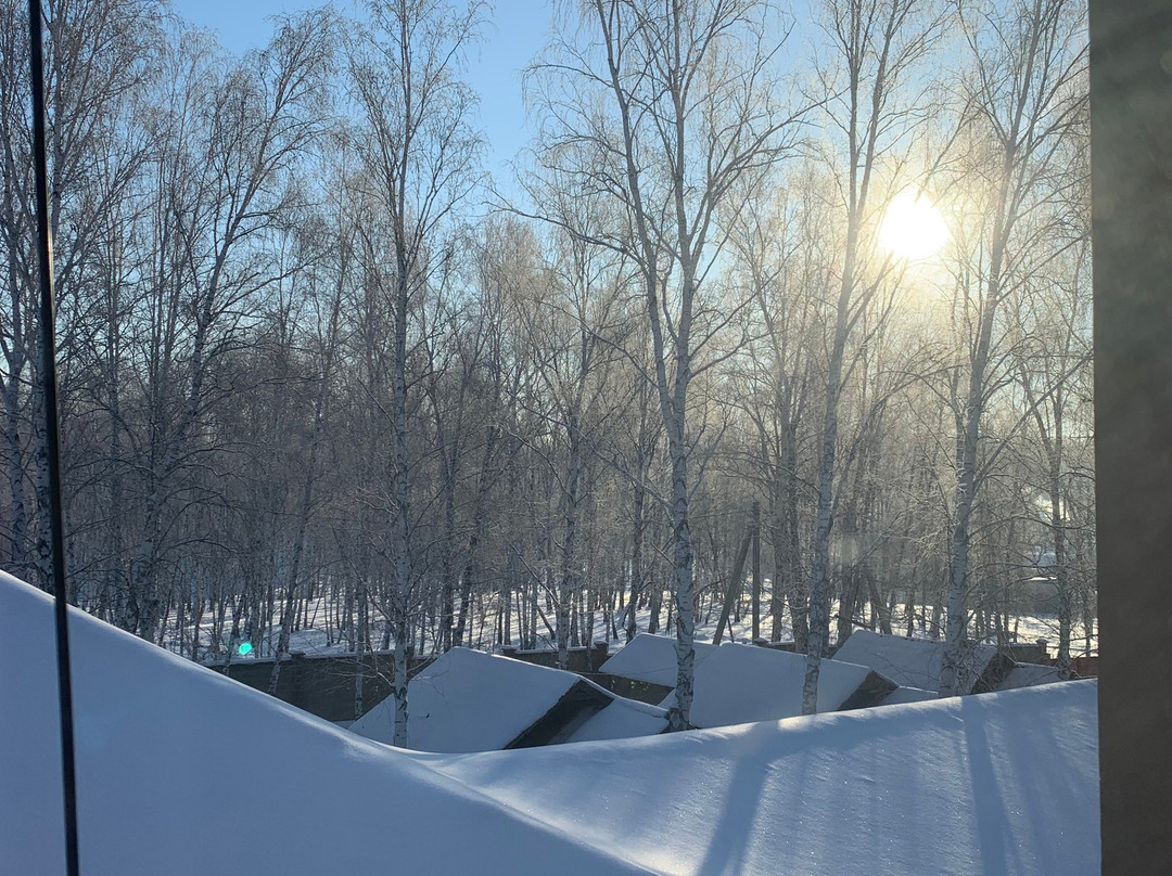 Rytzarskiy Dvor主图