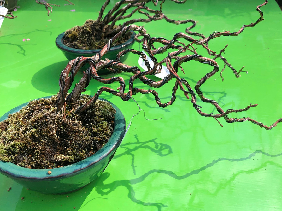 Ueno Green Club-Uenokoen必去景点