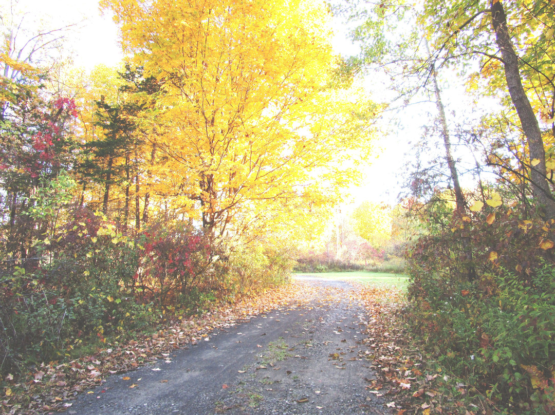 Brookfield Farm Bed & Breakfast主图
