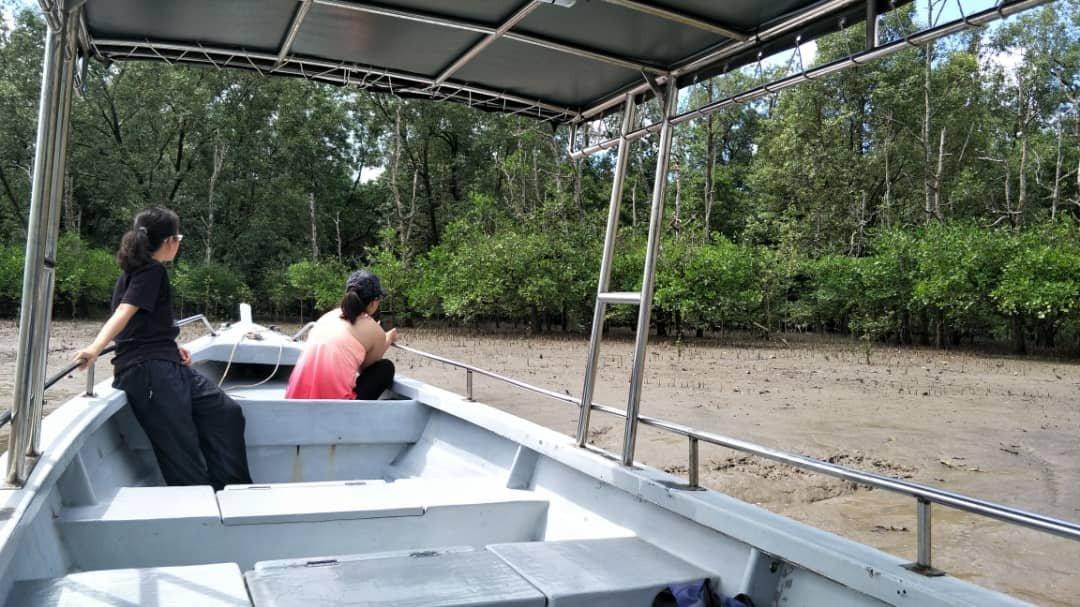 古晋湿地国家公园-古晋必去景点