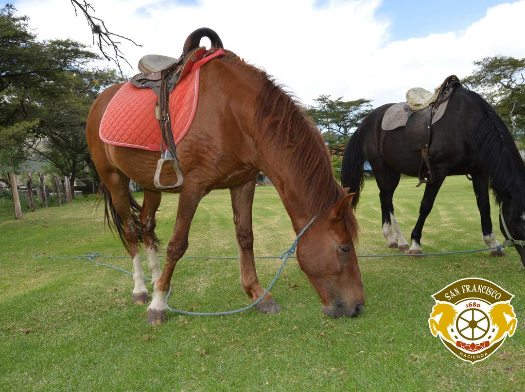 Hacienda San Francisco主图