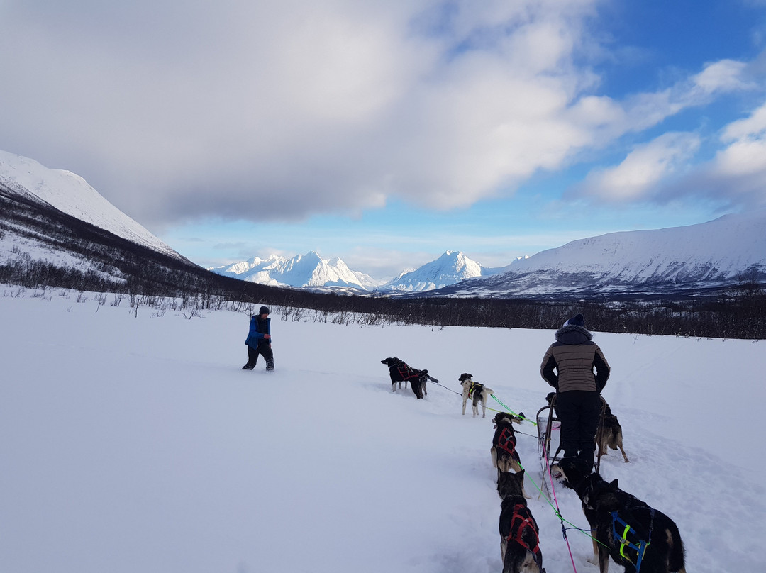 Happy Tails Husky Tours景点图片