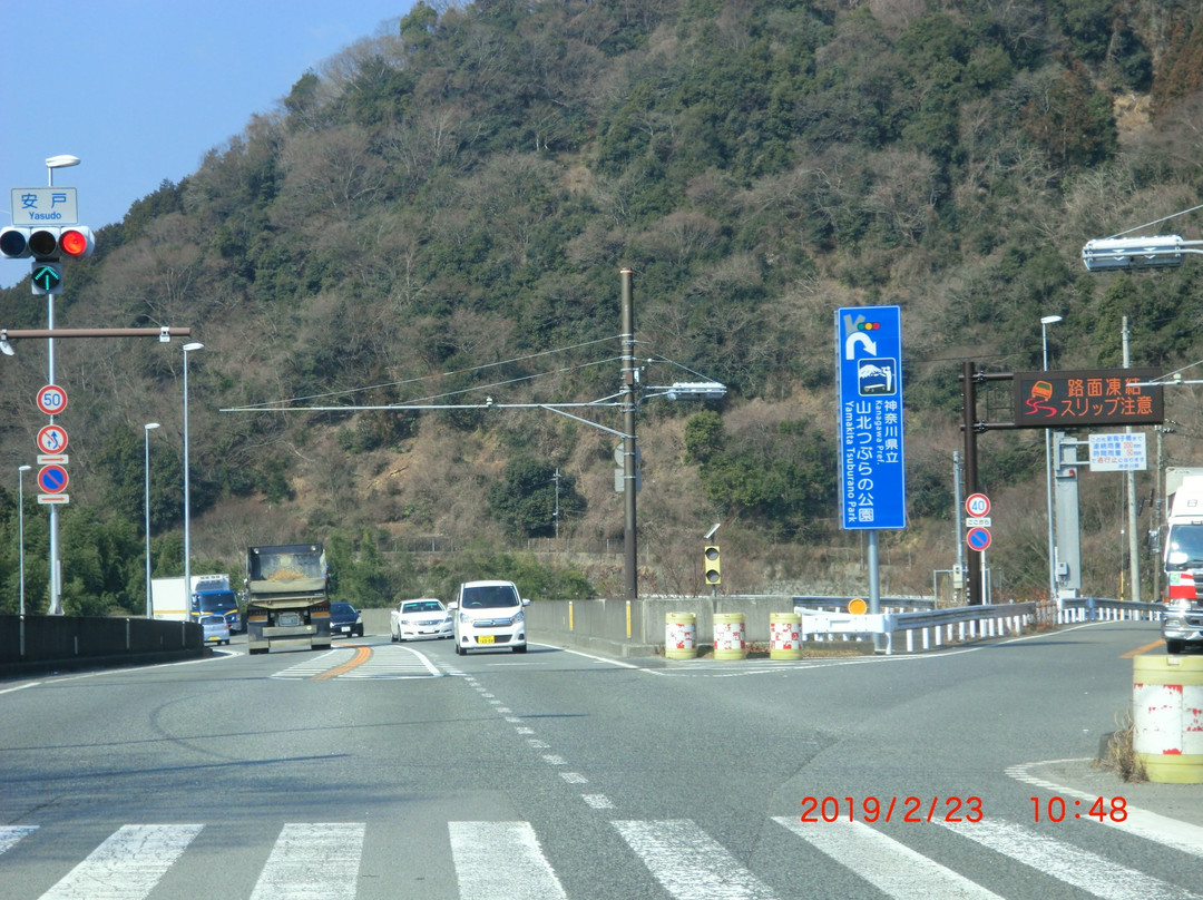 Yamakita Tsuburano Park景点图片