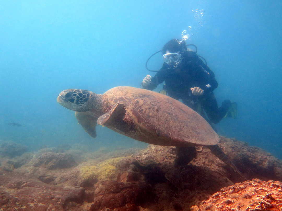 艾尔利滩-艾尔利滩必去景点