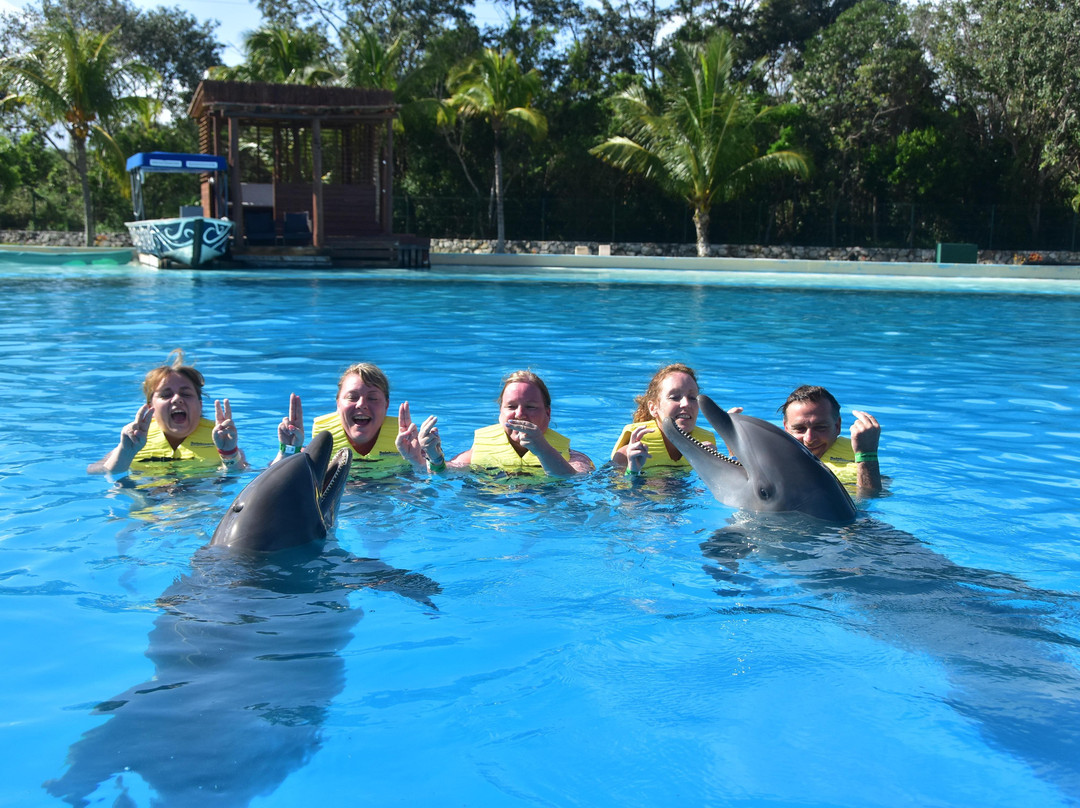 Dolphinaris Riviera Maya Park景点图片