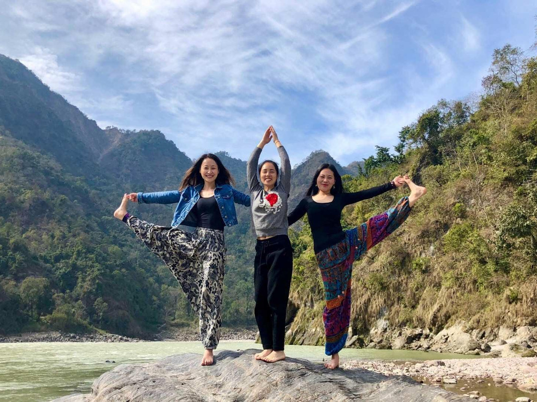 Yog Amritam Yoga Teacher Training景点图片