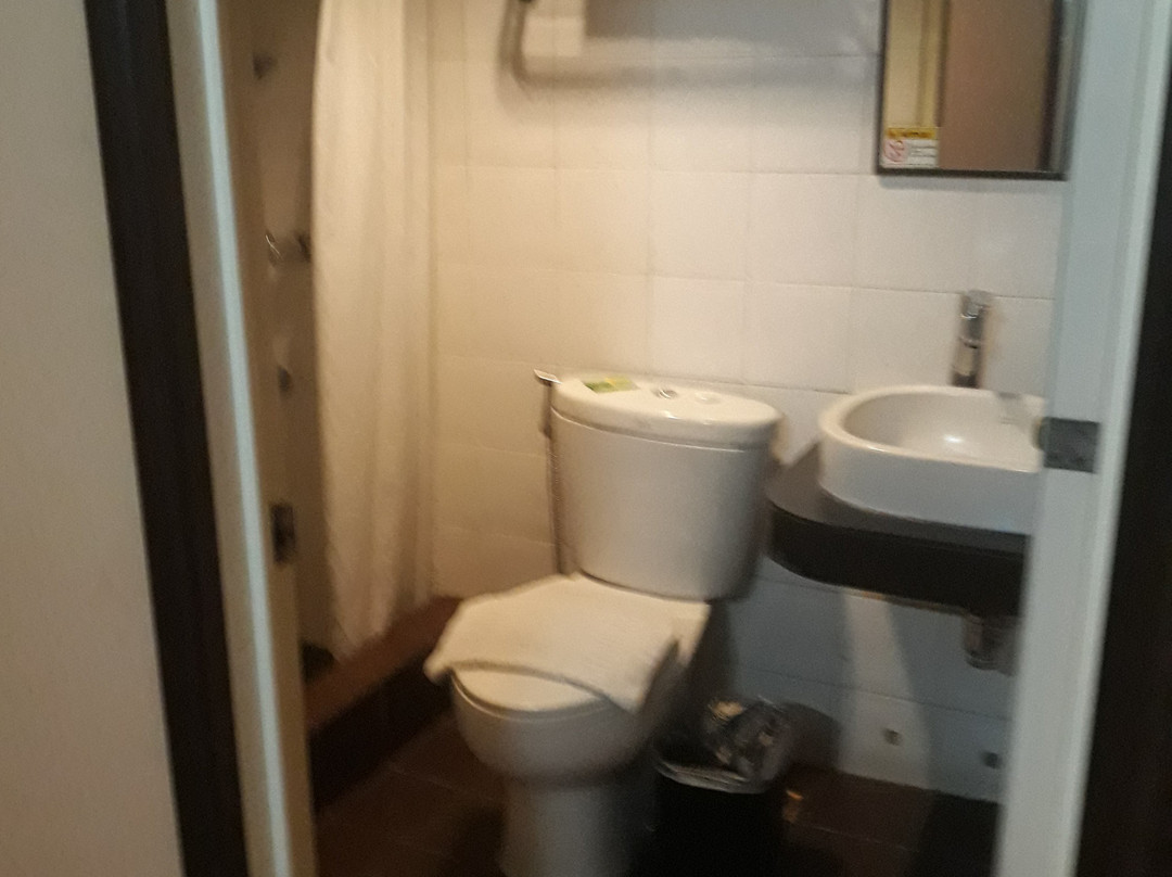 Star Plaza Hotel主图