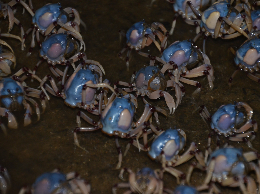 特伍福尔德湾海滩度假村主图