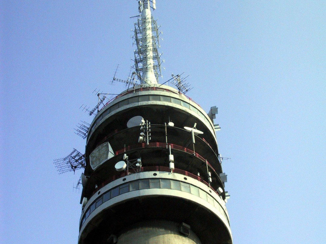 TV-toren Goes景点图片