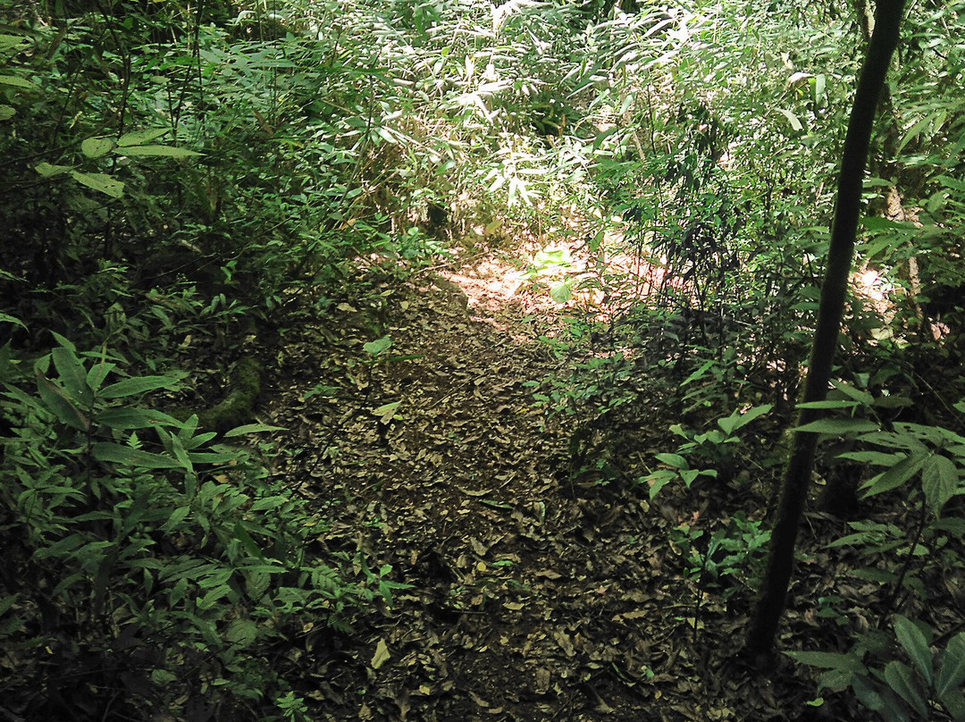 Cascata Wasserfall III-Boa Vista do Sul必去景点