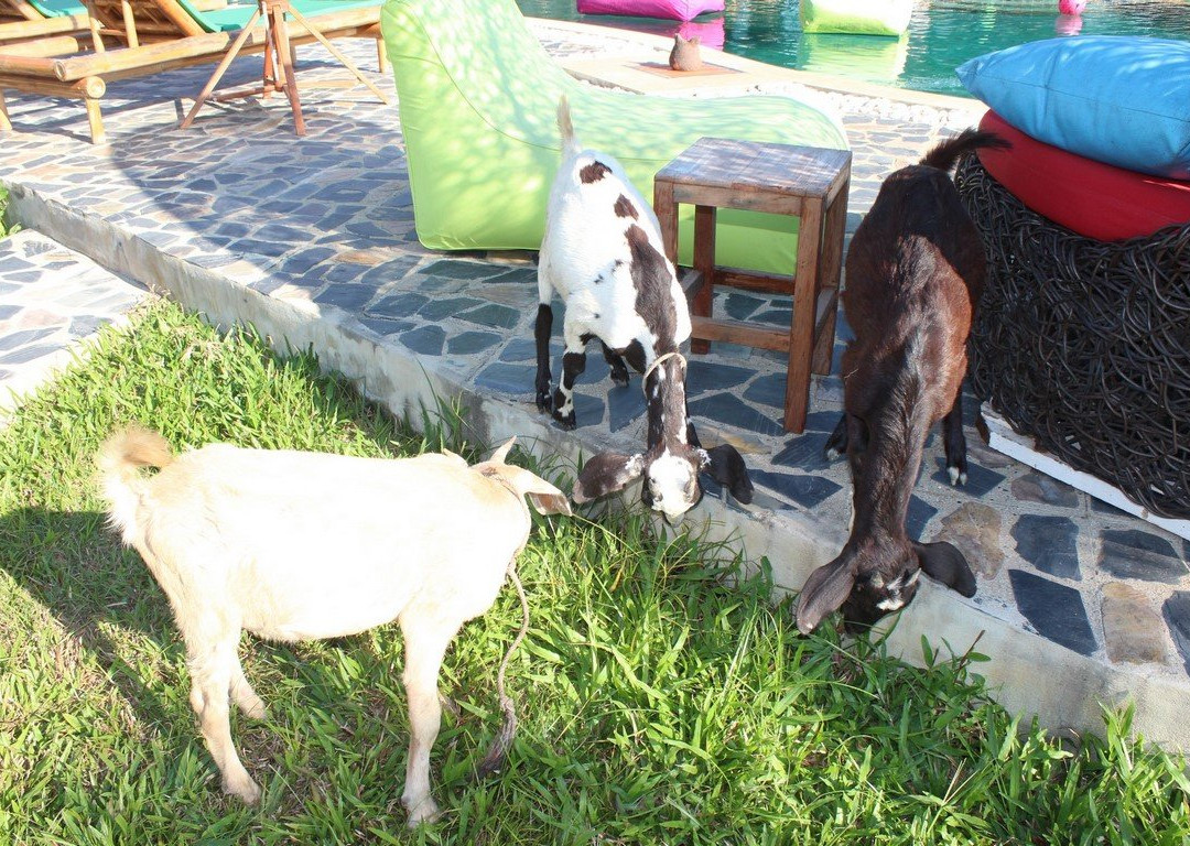 Kalaka Cooking Class - Thai cooking class in Chiang Mai-清迈必去景点