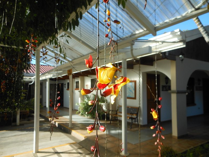 La Riviera Hotel主图