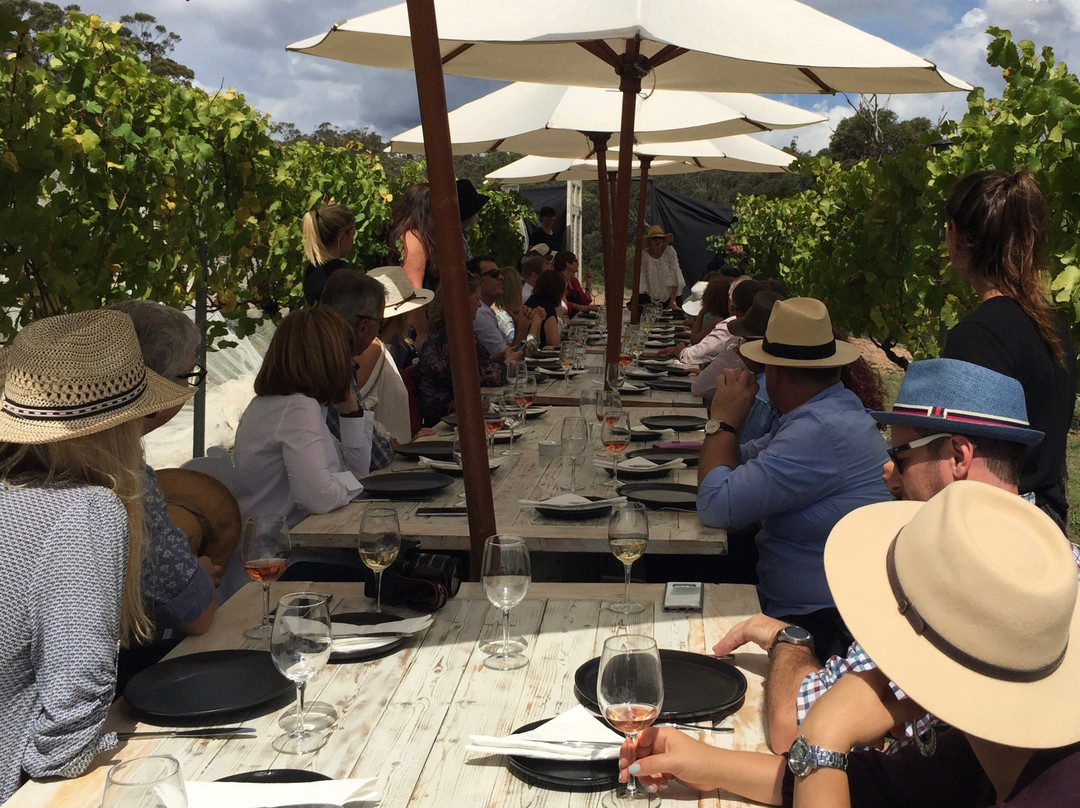 Wild Food Adventures-Berrima必去景点