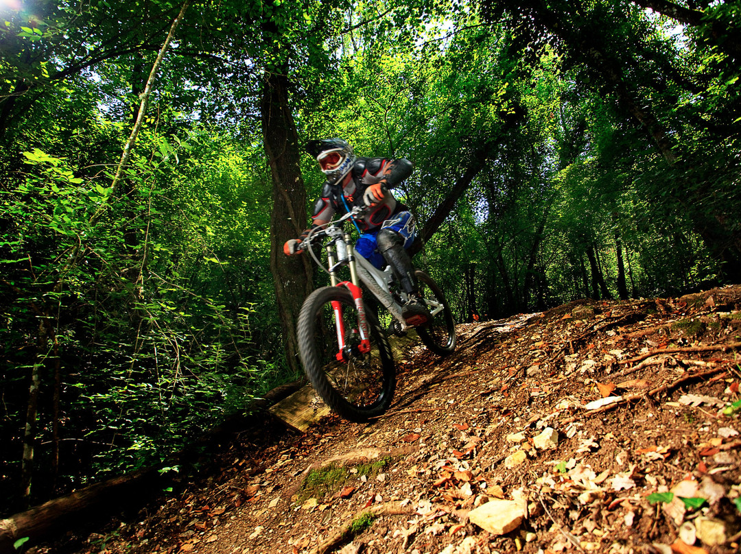 Umbria in Mountain Bike景点图片