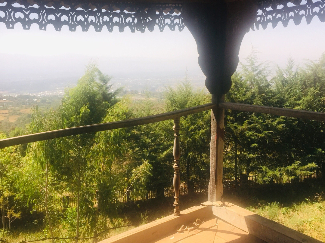 Aba Jifar Palace景点图片