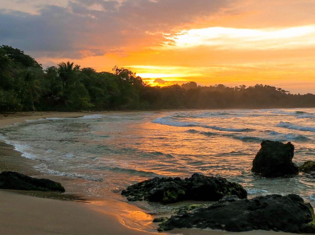 Domicil Yacht Hotel主图