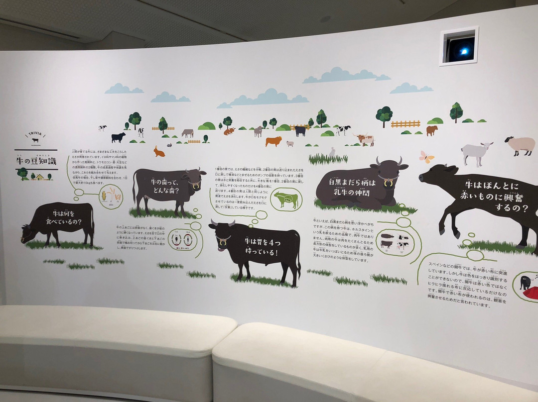 Tajima Ranch Park-新温泉町必去景点