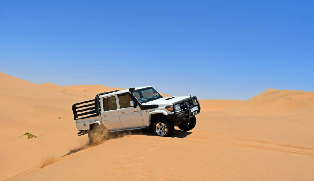 Dolphin Tours Namibia Eco Friendly Desert Tours-华维斯湾必去景点