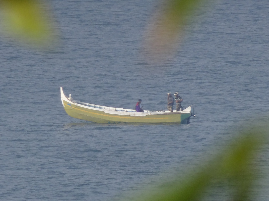 Blooming Bay - Clifftop Beach Resort主图